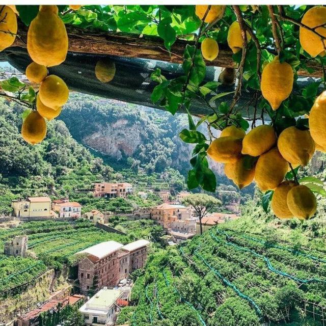 La Valle Delle Ferriere Bed and Breakfast Amalfi Exteriör bild